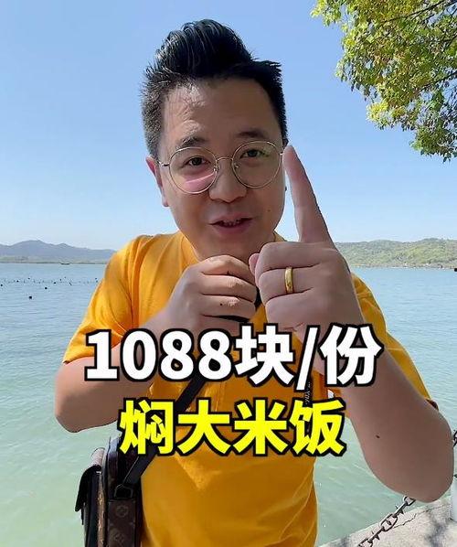 明星黑料网站视频免费观看 网红大logo,网红大LOGO下的免费观看秘密